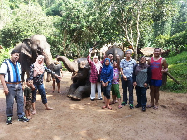 elephant volunteer, chiang mai activities, thing to do in chiang mai