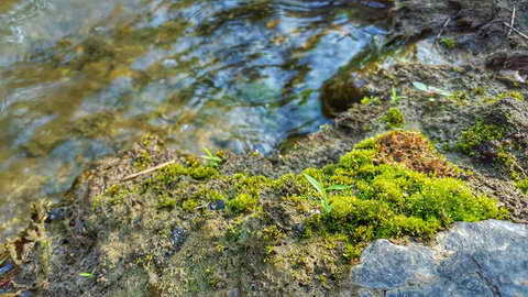 ob khan, ob khan national park, attractions in chiang mai