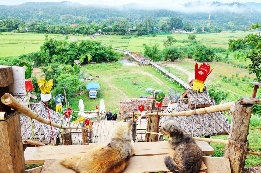 su tong pea bridge, su tong pea bamboo bridge, su tong pea