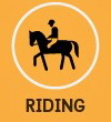chiang mai horseback riding tours , chiang mai horse riding school, chiang mai horseback riding, chiang mai horse riding
