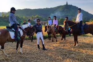 chiang mai horseback riding tours , chiang mai horse riding school, chiang mai horseback riding, chiang mai horse riding