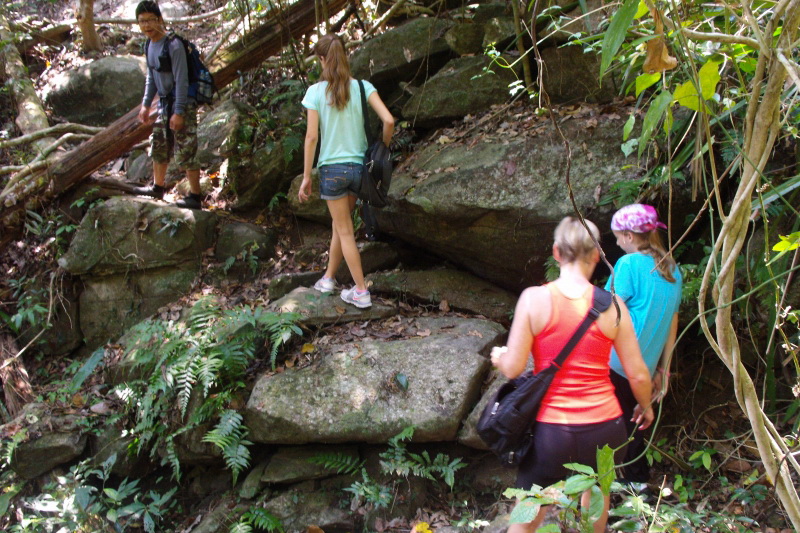 chiang mai activities, thing to do in chiang mai, hiking at doi suthep, hiking at doi suthep - pui national park, trekking at doi suthep, trekking at doi suthep - pui national park, chiang mai hiking