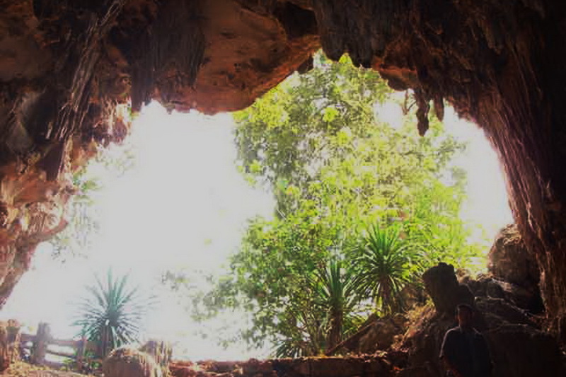 pha daeng national park, pha daeng, pha dang national park