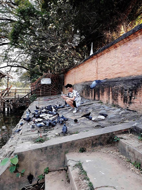 wat chaimongkol, chaimongkol temple, attraction temple in chiang mai