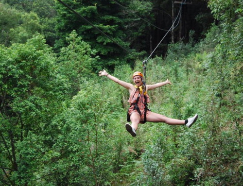 Chiang Mai Zipline Adventure