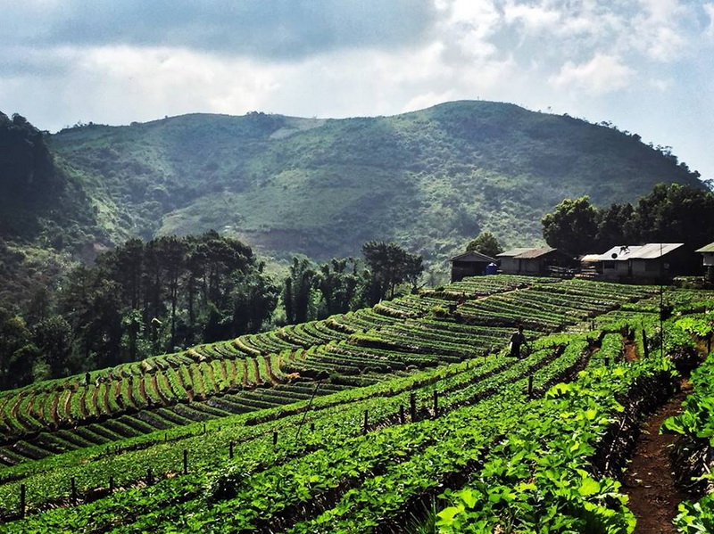 doi ang khang, ang khang, ang khang mountain