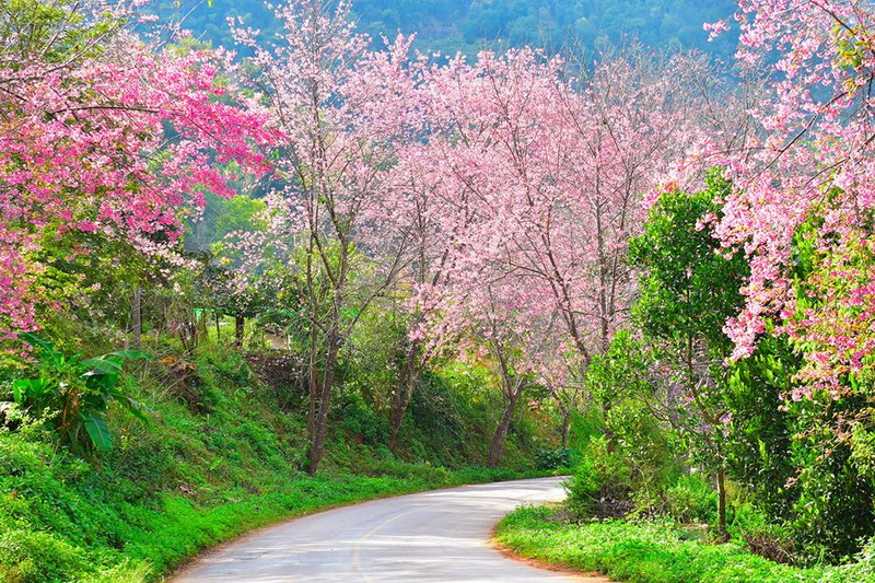 doi ang khang, ang khang, ang khang mountain