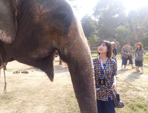 Kanta Elephant Sanctuary