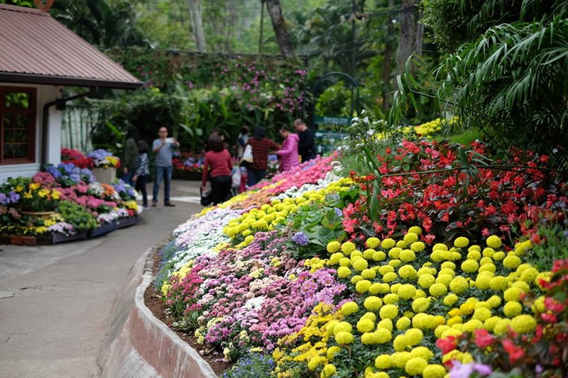 best thai restaurants in chiang mai, thai restaurants in chiang mai, good restaurants in chiang mai, restaurants in chiang mai, the best thai restaurants in chiang mai