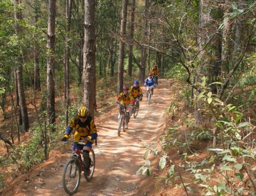 Chiang Mai Cycling Tour