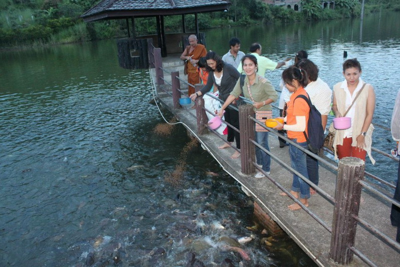wat phra that mae chedi, phra that mae chedi temple, wat phrathat mae chedi, phrathat mae chedi temple
