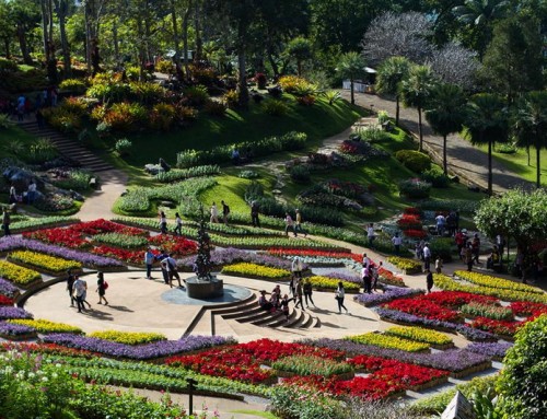 Chiang Rai Package Tour03