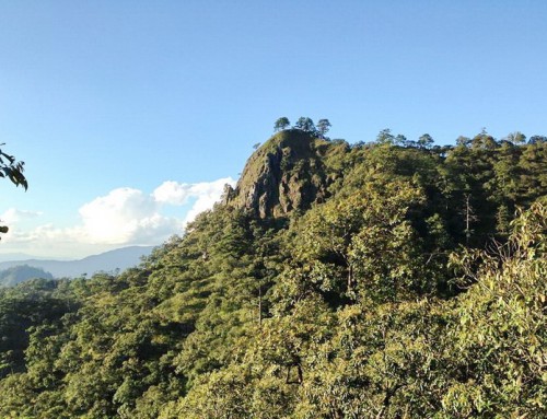 Khun Chae National Park