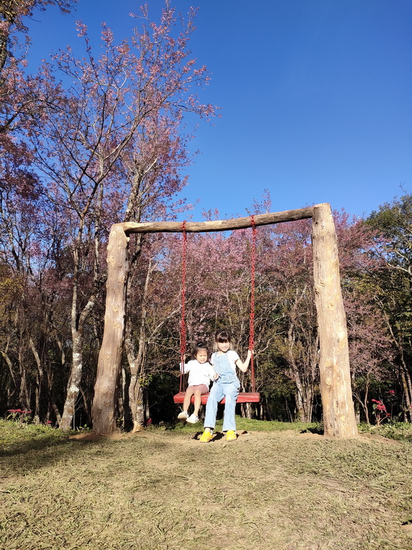 phu chi fa, phu chi fa forest park, phu chi fa national park, phu chi fah, phu chi fah forest park, phu chi fah national park phu chi fa, phu chi fa forest park, phu chi fa national park, phu chi fah, phu chi fah forest park, phu chi fah national park