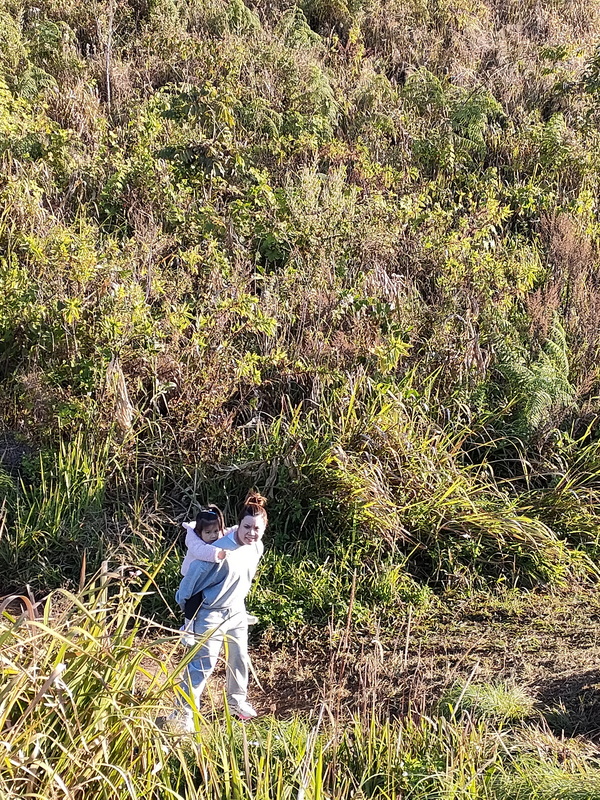 phu chi fa, phu chi fa forest park, phu chi fa national park, phu chi fah, phu chi fah forest park, phu chi fah national park phu chi fa, phu chi fa forest park, phu chi fa national park, phu chi fah, phu chi fah forest park, phu chi fah national park