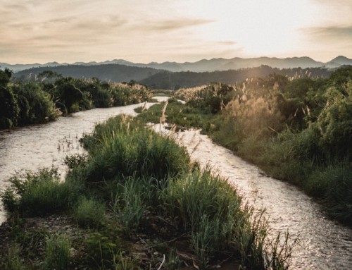 Mae Hong Son Package Tour02: Salawin River 2 Day Tour