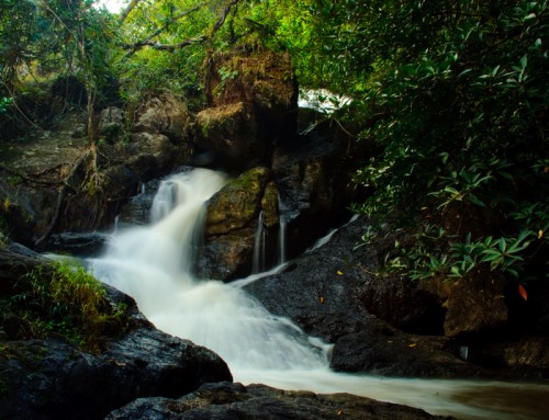 Tham Pla Cave-Pha Suea Waterfall National Park