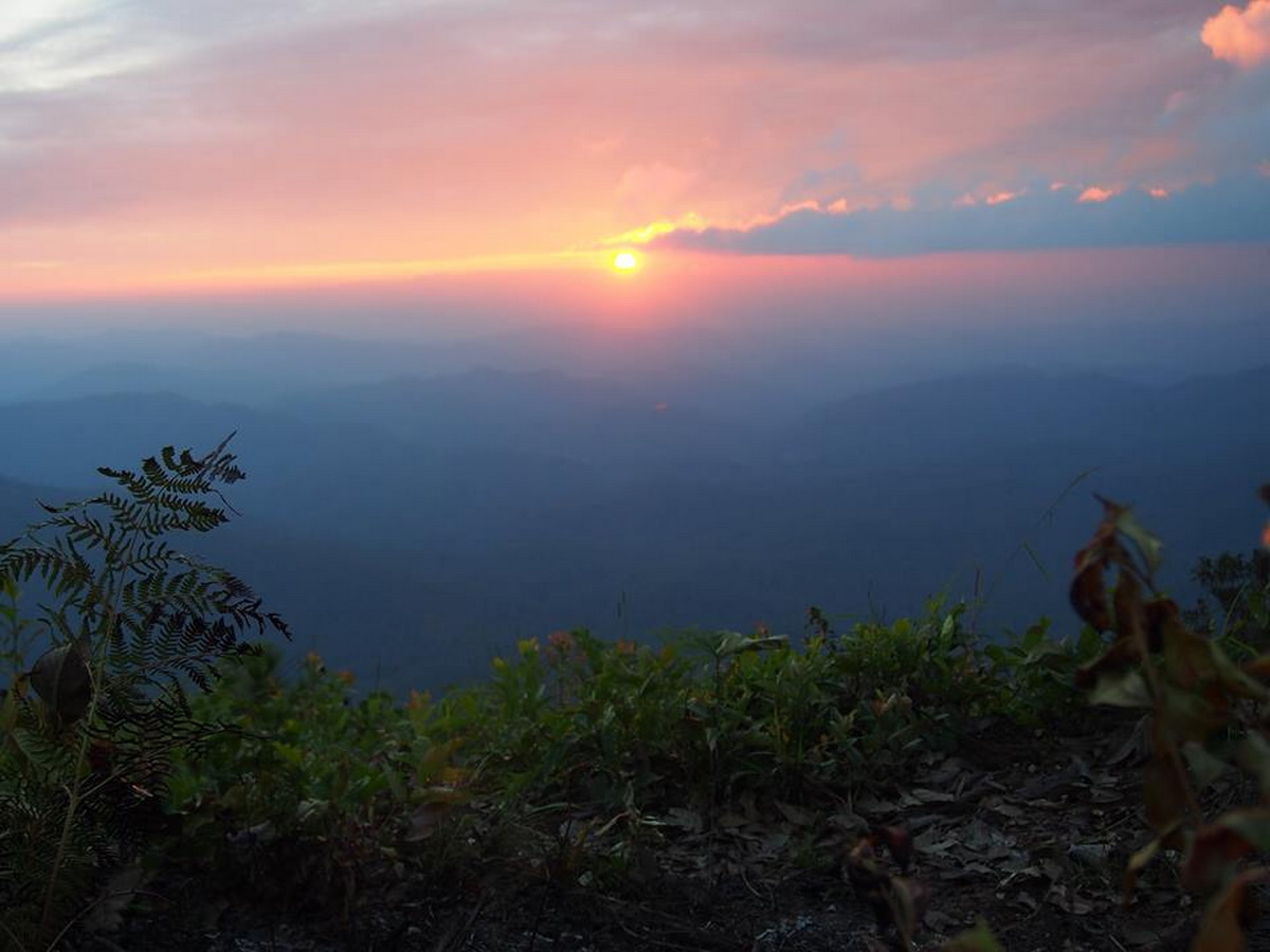 doi chong national park, doi chong forest park, doichong national park, doichong forest park, doi chong national park lampang, doi chong forest park lampang, doichong national park lampang, doichong forest park lampang, pampang national parks, national parks in lampang