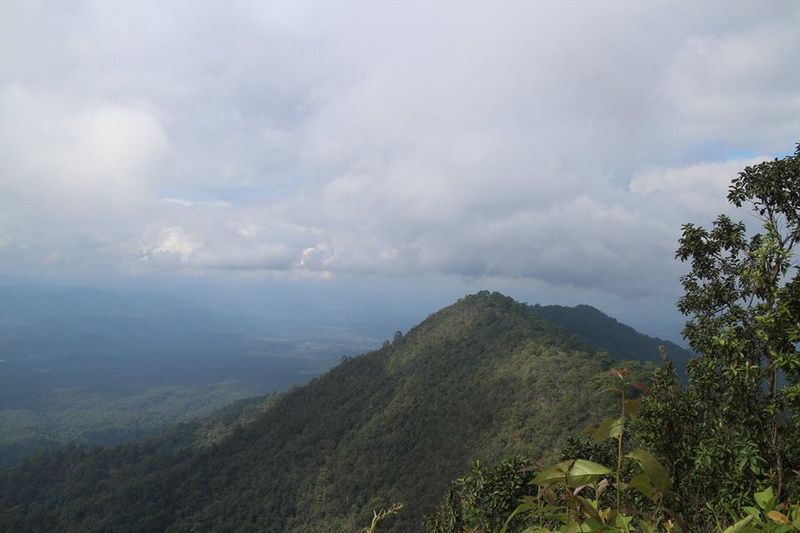 doi chong national park, doi chong forest park, doichong national park, doichong forest park, doi chong national park lampang, doi chong forest park lampang, doichong national park lampang, doichong forest park lampang, pampang national parks, national parks in lampang