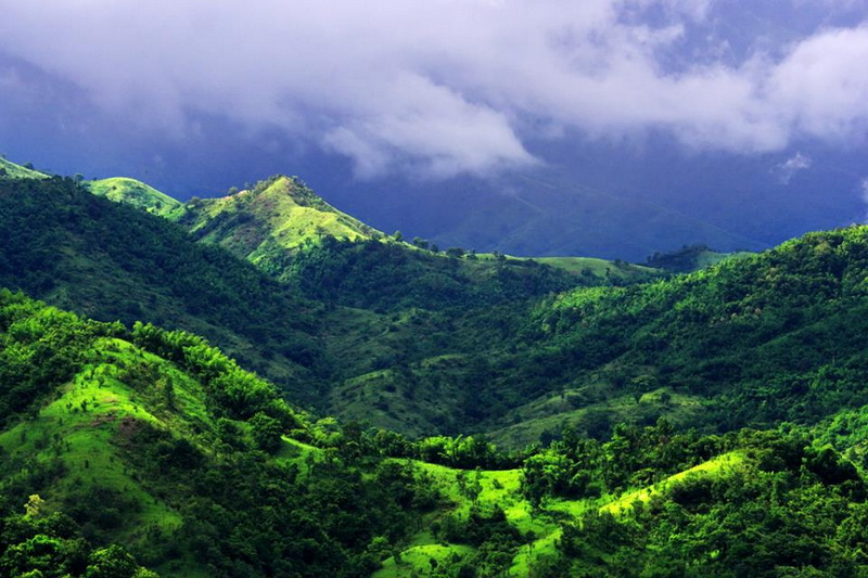 doi chong national park, doi chong forest park, doichong national park, doichong forest park, doi chong national park lampang, doi chong forest park lampang, doichong national park lampang, doichong forest park lampang, pampang national parks, national parks in lampang