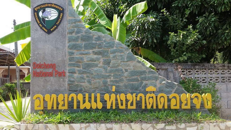 doi chong national park, doi chong forest park, doichong national park, doichong forest park, doi chong national park lampang, doi chong forest park lampang, doichong national park lampang, doichong forest park lampang, pampang national parks, national parks in lampang