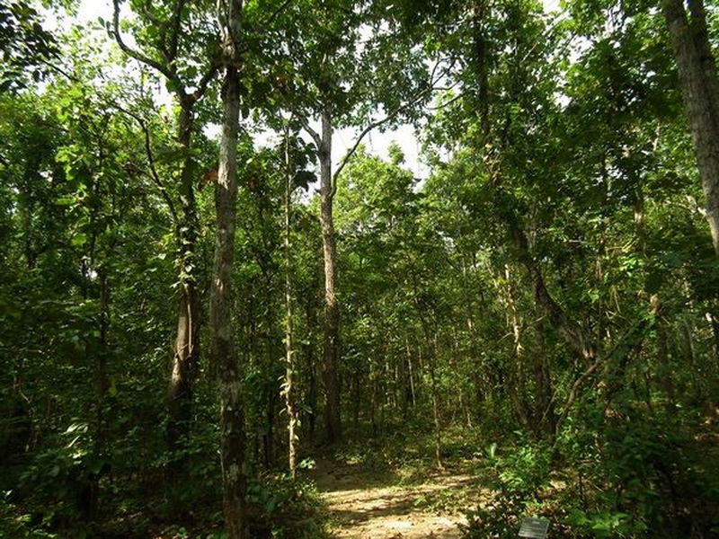 mae wa national park, mae wa forest park, maewa national park, maewa forest park, mae wa national park lampang, mae wa forest park lampang, maewa national park lampang, maewa forest park lampang, national parks in lampang