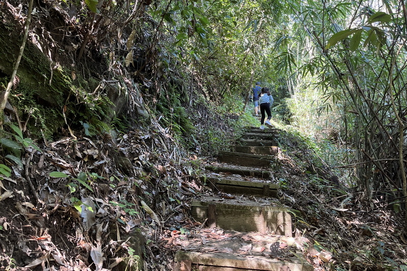 trekking doi suthep, trekking at doi suthep, trekking doi suthep - pui national park, tour trekking doi suthepr