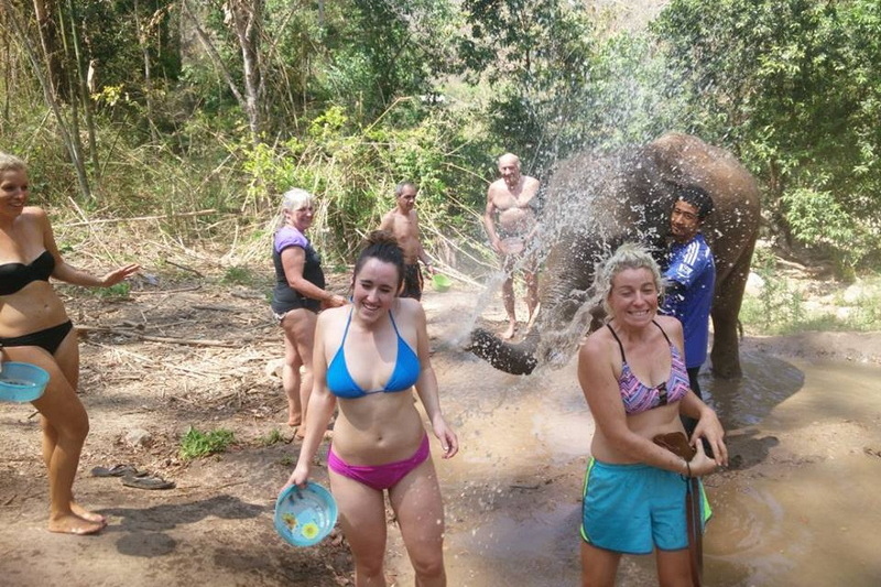 hug elephant chiangmai, chiang mai elephant care, hug elephant sanctuary