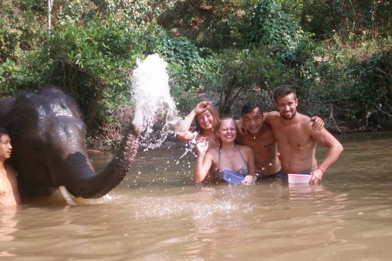 hug elephant chiangmai, chiang mai elephant care, hug elephant sanctuary