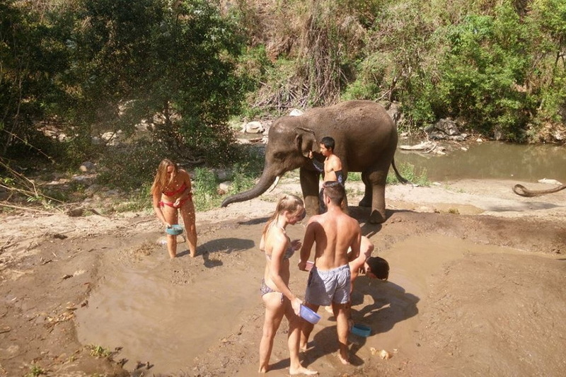 hug elephant chiangmai, chiang mai elephant care, hug elephant sanctuary