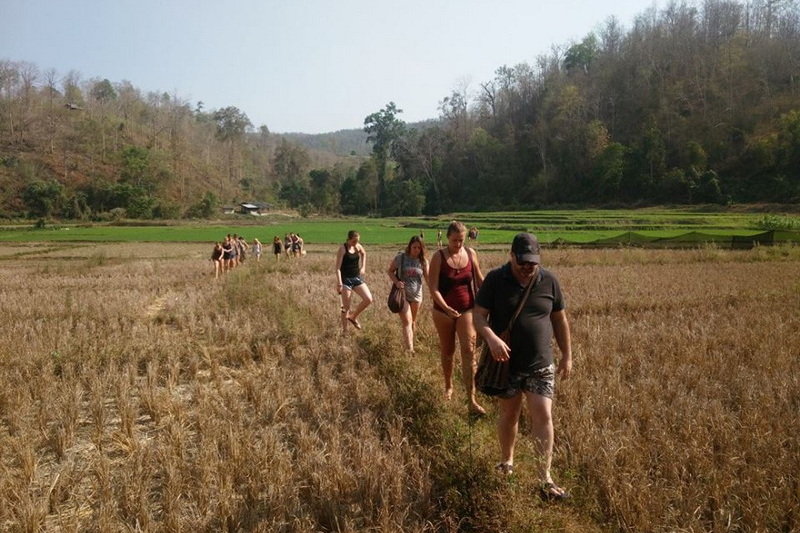 chiang mai trek, chiangmai trek, chiang mai trek mae wang area, chiang mai trek maewang area, 2 day chiang mai trek