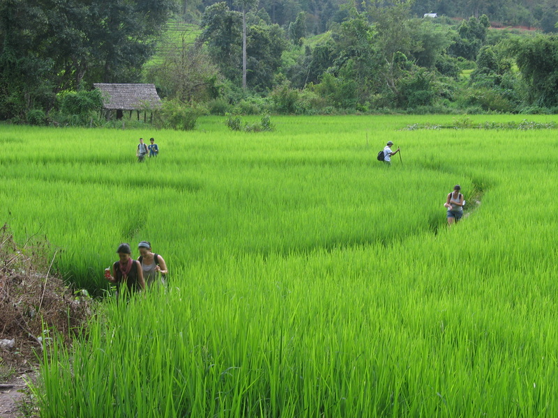 3 days 2 nights chiang mai jungle trek, chiang mai jungle trek, chiang mai trek, chiangmai trek, chiang mai trek mae wang area, chiang mai trek maewang area, 2 day chiang mai trek