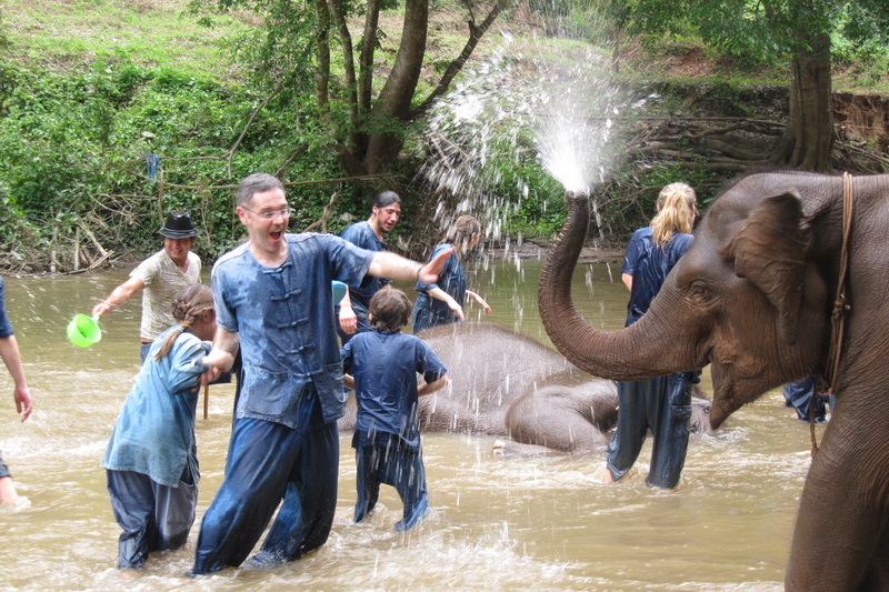 chiang mai elephant care, chiang mai elephant volunteer, chiang mai elephant tour