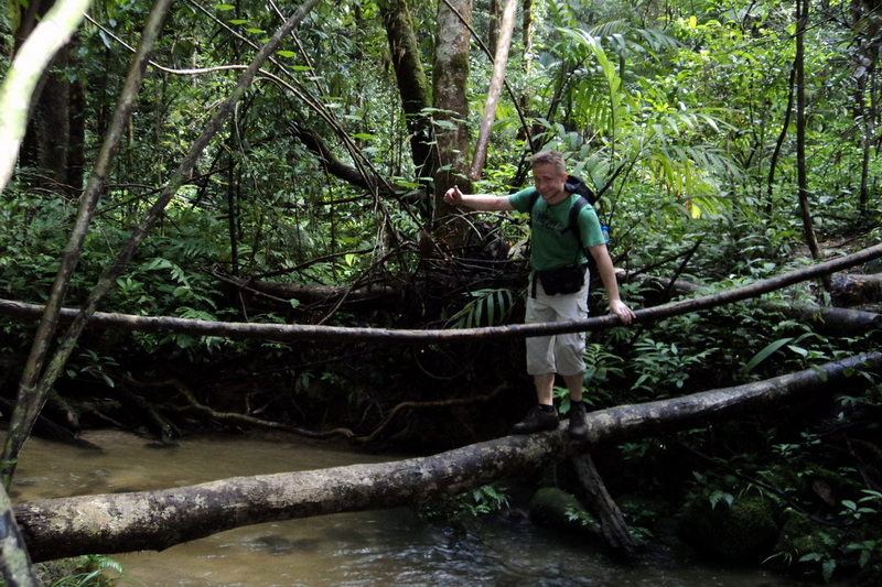 hiking doi inthanon, hiking doi inthanon national park, treking doi inthanon, trekking doi inthanon national park, doi inthanon trek only walk