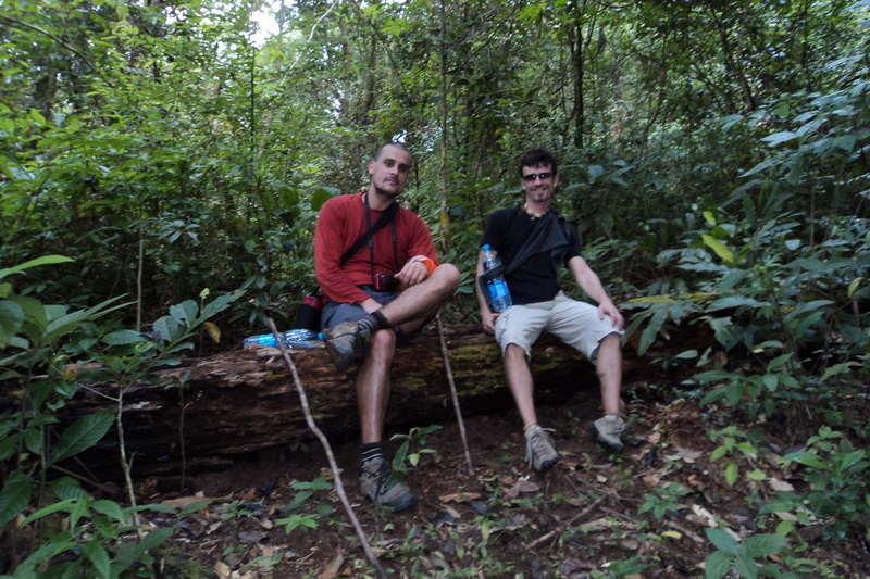 hiking doi inthanon, hiking doi inthanon national park, treking doi inthanon, trekking doi inthanon national park, doi inthanon trek only walk