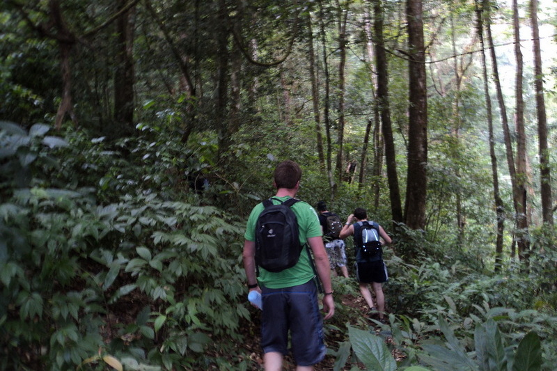 hiking doi inthanon, hiking doi inthanon national park, treking doi inthanon, trekking doi inthanon national park, doi inthanon trek only walk