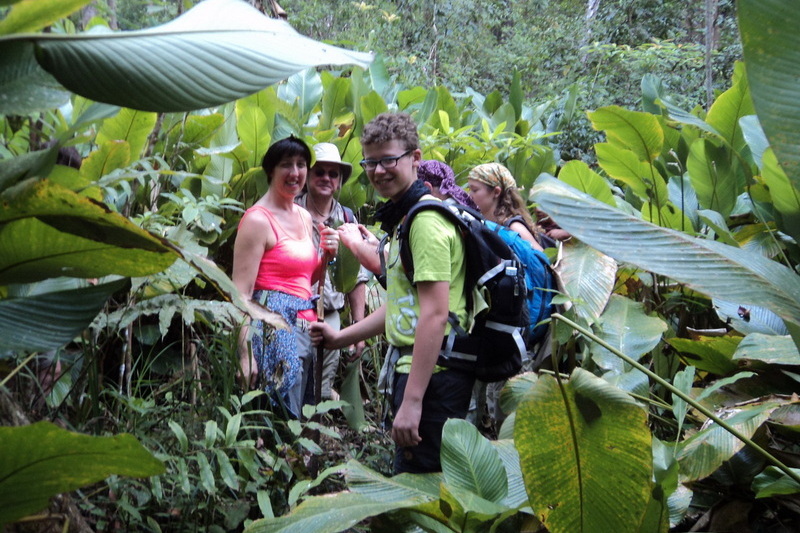 hiking doi inthanon, hiking doi inthanon national park, treking doi inthanon, trekking doi inthanon national park, doi inthanon trek only walk