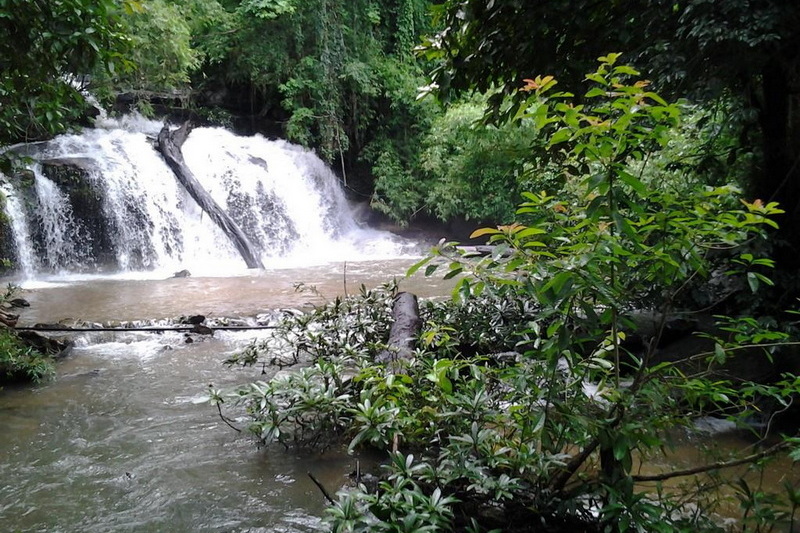 hiking doi inthanon, hiking doi inthanon national park, treking doi inthanon, trekking doi inthanon national park, doi inthanon trek only walk