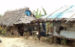 hiking doi inthanon, hiking doi inthanon national park, treking doi inthanon, trekking doi inthanon national park, doi inthanon trek only walk