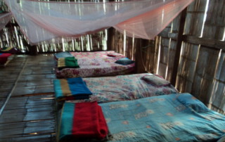 hiking doi inthanon, hiking doi inthanon national park, treking doi inthanon, trekking doi inthanon national park, doi inthanon trek only walk