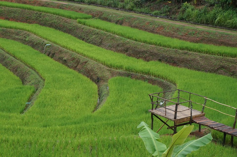 1 day private trek mae wang, 1 day trek mae wang, day trek mae wang, chiang mai treks, chiang mai trekking, 1 day real trekking in chiang mai