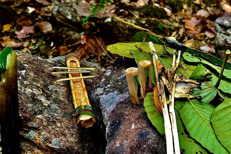 1 day private trek mae wang, 1 day trek mae wang, day trek mae wang, chiang mai treks, chiang mai trekking, 1 day real trekking in chiang mai