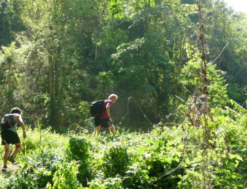 Chiang Mai Trek04 : 1 Day  Chiang Mai Trekking Mae Tang Area