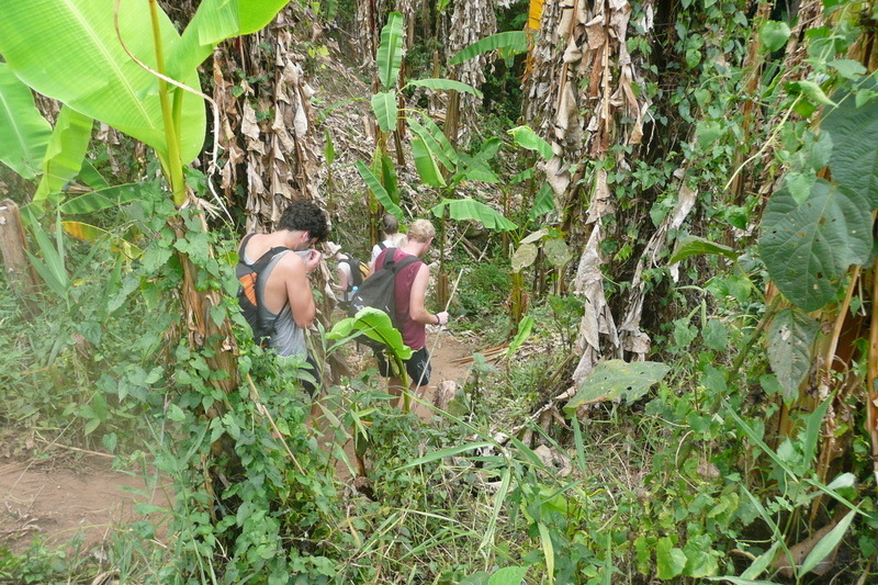 chiang mai trekking, 1 day chiang mai trekking, chiang mai trekking mae tang area, chiang mai trekking mae taeng area, chiang mai trek