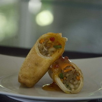 Spring Rolls Spring Rolls