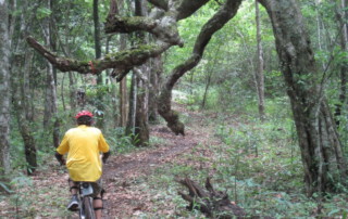 chiang mai mountain bike, chiang mai biking, chiang mai biking tour, chiang mai biking adventure, chiang mai biking package, chiang mai biking program, chiang mai mountain biking