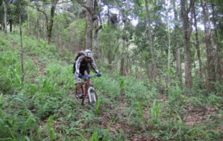 chiang mai biking, chiang mai biking tour, chiang mai biking adventure, chiang mai biking package, chiang mai biking program, chiang mai mountain biking