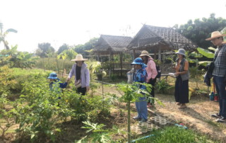 thai cookery school, smart cook, smart cook thai cookery school, chiang mai cooking school, cooking school in chiang mai