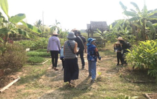 thai cookery school, smart cook, smart cook thai cookery school, chiang mai cooking school, cooking school in chiang mai