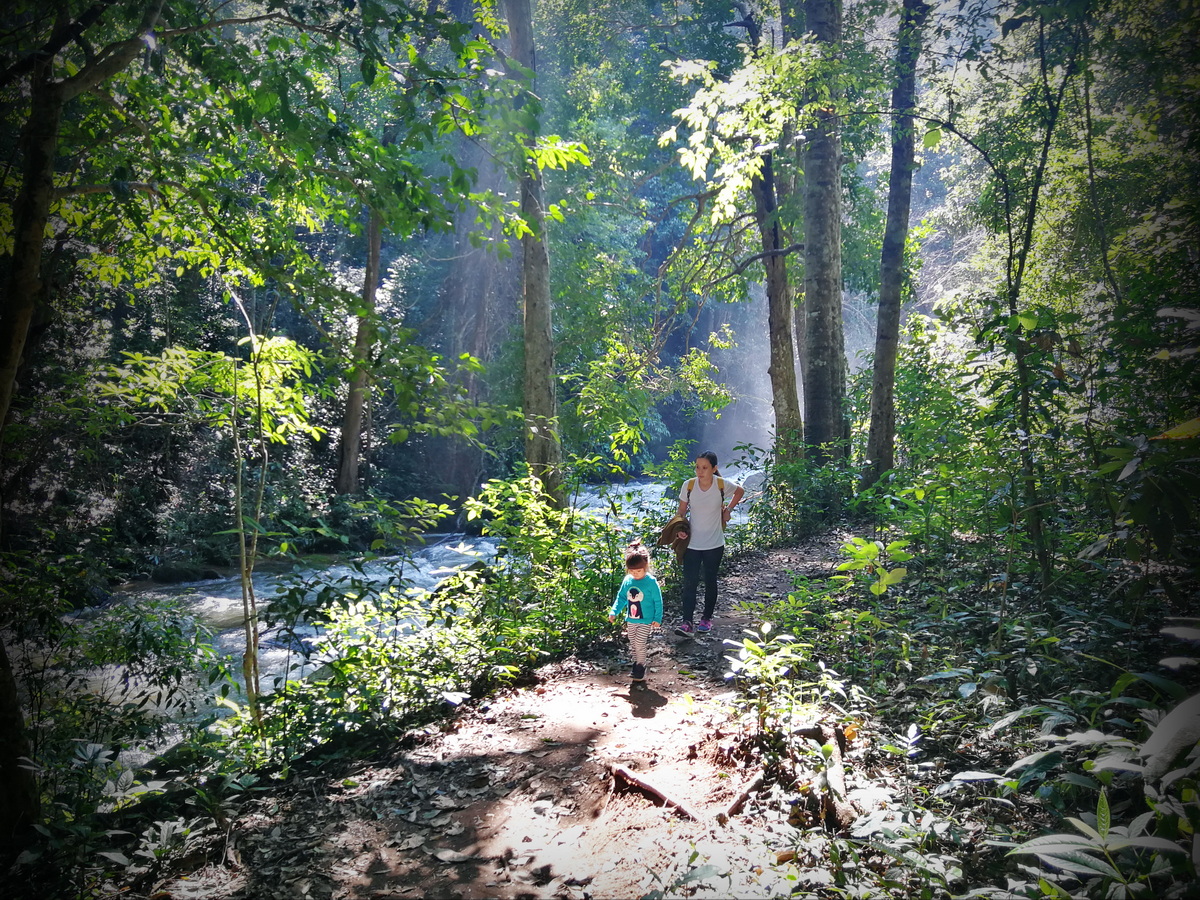 hiking pha dok siew nature trail, pha dok siew nature trail, trekking baan mae klang luang, baan mae klang luang, trekking pha dok siew, hiking pha dok siew hiking pha dok siew nature trail, pha dok siew nature trail, trekking baan mae klang luang, baan mae klang luang, trekking pha dok siew, hiking pha dok siew